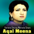 Aqal Meena
