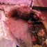 Akina Nakamori