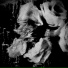 RONVXER, lakkerro, Tribeat, 1NZZiDENT