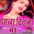subham yadav