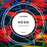 HDSN