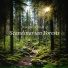 Nordic Wilderness