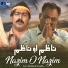 Ali Akbar Shah