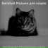 Богатый Музыка для кошек