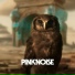 Pink Noise feat. Mai Lan, Rayzak, Mikano