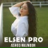 Elsen Pro