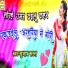 Subhash Saras