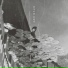 Yun Yo Han