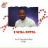 Rev. Fr. Femi Victor Orilua CSSp