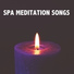 Relaxing Music Therapy, Spa Music Paradise