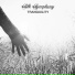Silk Symphony