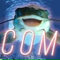ieelon