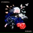 GSHELL