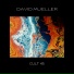David Mueller