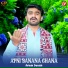 Arbab danish