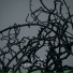 Kadroneus