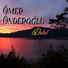 Ömer Önderoğlu