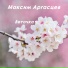 Максим Аргасцев