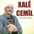 Xale Cemil
