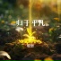 柏哲