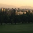 TAVOK