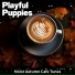 Playful Puppies