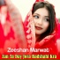 Zeeshan Marwat