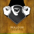 WALDIM feat. Divag, Zajko