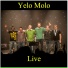 Yelo Molo