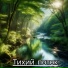 Мелодии целебной воды
