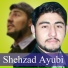 Shehzad Ayubi