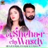 Hina Zulfiqar, Zulfiqar Ali Ansoo