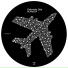 Dubaxface