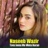 Naseeb Wazir