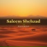 Saleem Shehzad