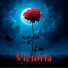 Moonlight Sonata