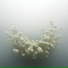 snowmelt