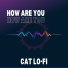 Cat Lo-Fi