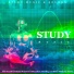 Study Music & Sounds