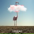 Roum