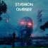 Stashion