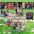 Kinderkoor De Herghesangertjes