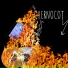 CHERNOBELIK