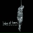 LAKE OF TEARS