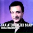 Hassan Shamaizadeh