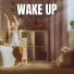 The Sleepy Sounds