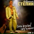 Алексей Стёпин