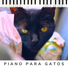 Piano for cats