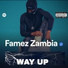 Famez Zambia feat. Rude various Artists