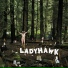 Ladyhawk